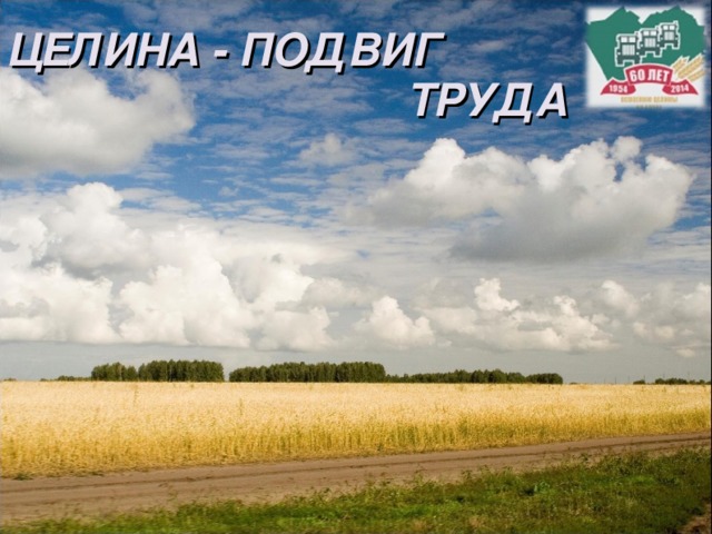 Целина: как за осень превратили степь в хлебную житницу
